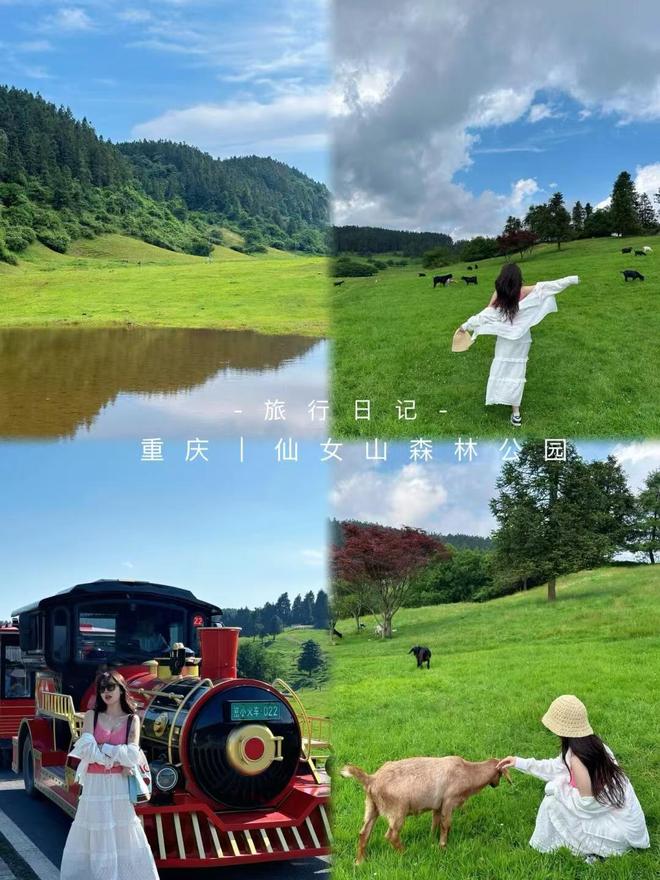 导游推荐最实惠的游玩价格分享诚心分享PG麻将胡了模拟器重庆本地旅行团报名(图2)