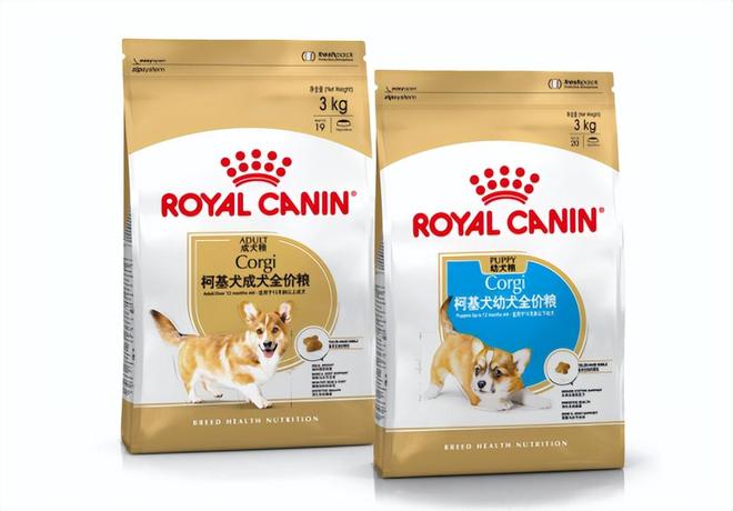年：营养守护犬猫健康 构建宠物生态新未来PG电子麻将胡了2皇家宠物食品中国三十周(图14)